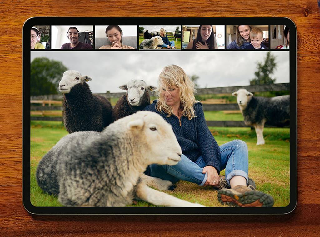 EComm, Airbnb Online Experiences EComm, Airbnb Online Experiences